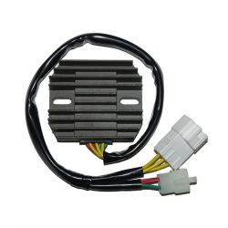 ELECTROSPORT REGULATOR...