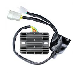 ELECTROSPORT REGULATOR...
