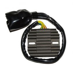 ELECTROSPORT REGULATOR...