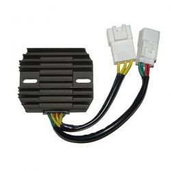 ELECTROSPORT REGULATOR...