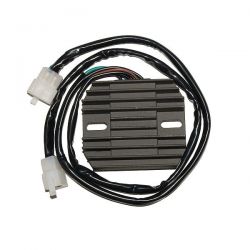 ELECTROSPORT REGULATOR...