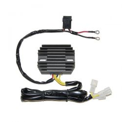 ELECTROSPORT REGULATOR...