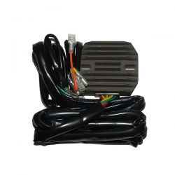 ELECTROSPORT REGULATOR...