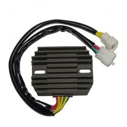 ELECTROSPORT REGULATOR...