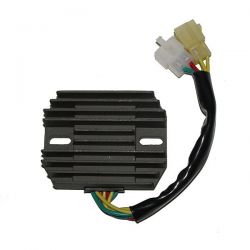 ELECTROSPORT REGULATOR...