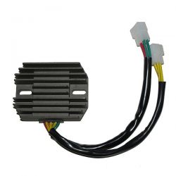 ELECTROSPORT REGULATOR...