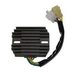 ELECTROSPORT REGULATOR...