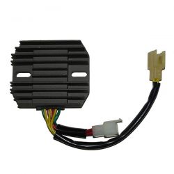 ELECTROSPORT REGULATOR...