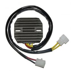 ELECTROSPORT REGULATOR...