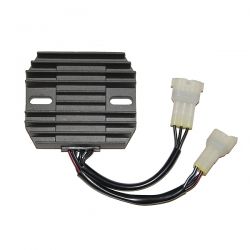 ELECTROSPORT REGULATOR...
