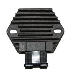 ELECTROSPORT REGULATOR...
