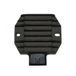 ELECTROSPORT REGULATOR...