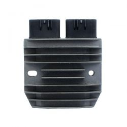 ELECTROSPORT REGULATOR...