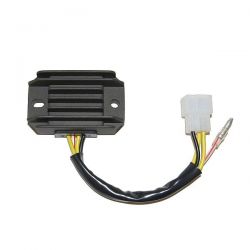 ELECTROSPORT REGULATOR...