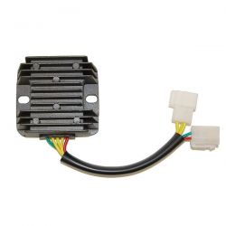 ELECTROSPORT REGULATOR...