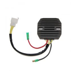 ELECTROSPORT REGULATOR...