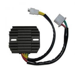 ELECTROSPORT REGULATOR...