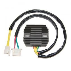 ELECTROSPORT REGULATOR...