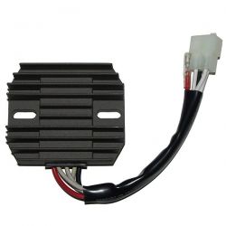 ELECTROSPORT REGULATOR...