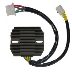 ELECTROSPORT REGULATOR...
