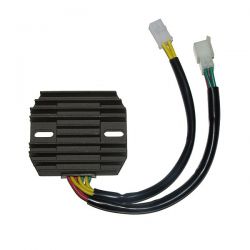 ELECTROSPORT REGULATOR...