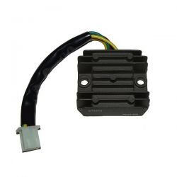 ELECTROSPORT REGULATOR...