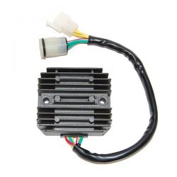 ELECTROSPORT REGULATOR...