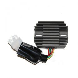ELECTROSPORT REGULATOR...