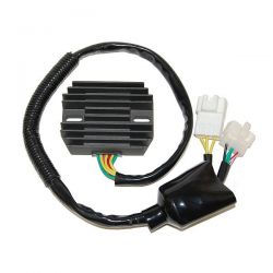 ELECTROSPORT REGULATOR...