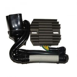 ELECTROSPORT REGULATOR...