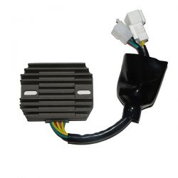 ELECTROSPORT REGULATOR...