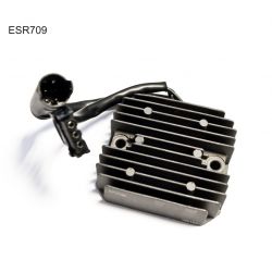 ELECTROSPORT REGULATOR...