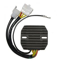 ELECTROSPORT REGULATOR...