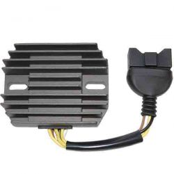 ELECTROSPORT REGULATOR...
