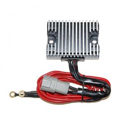 ELECTROSPORT REGULATOR...