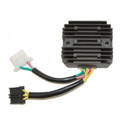 ELECTROSPORT REGULATOR...