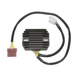 ELECTROSPORT REGULATOR...