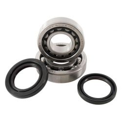 HOT RODS ŁOŻYSKA WAŁU KORBOWEGO HONDA TRX 450 06-09