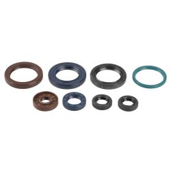 ATHENA KOMPLET (ZESTAW) USZCZELNIACZY SILNIKOWYCH KTM SXF 250 06-12, E