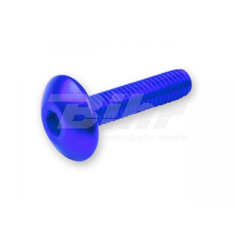 V PARTS (VICMA) ZESTAW ŚRUB OWIEWKI M5X20 (6SZT.) KOLOR NIEBIESKI (TA
