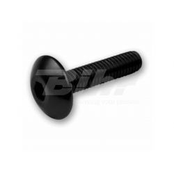 V PARTS (VICMA) ZESTAW ŚRUB OWIEWKI M5X20 (6SZT.) KOLOR CZARNY (TA520