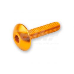 V PARTS (VICMA) ZESTAW ŚRUB OWIEWKI M5X20 (6SZT.) KOLOR ZŁOTY (TA520
