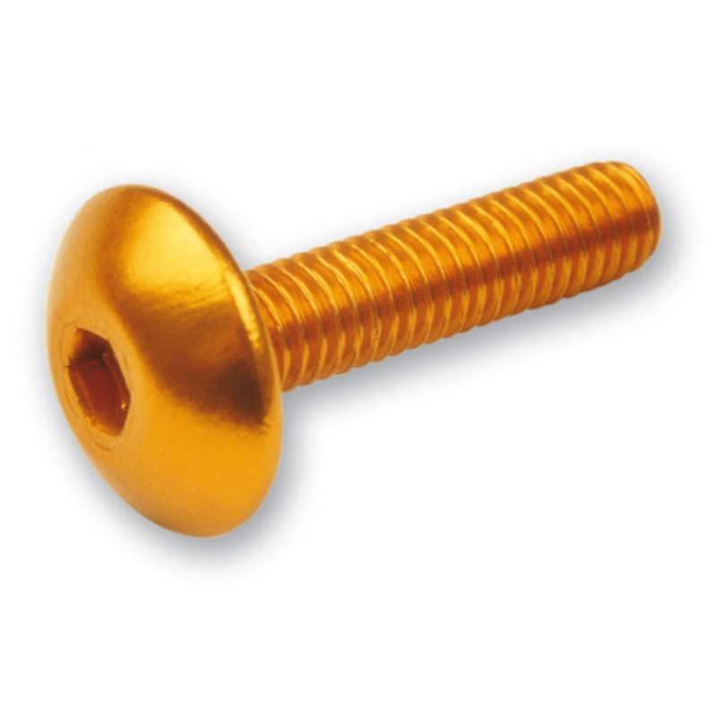 V PARTS (VICMA) ZESTAW ŚRUB OWIEWKI M6X20 (6SZT.) KOLOR ZŁOTY (TA620
