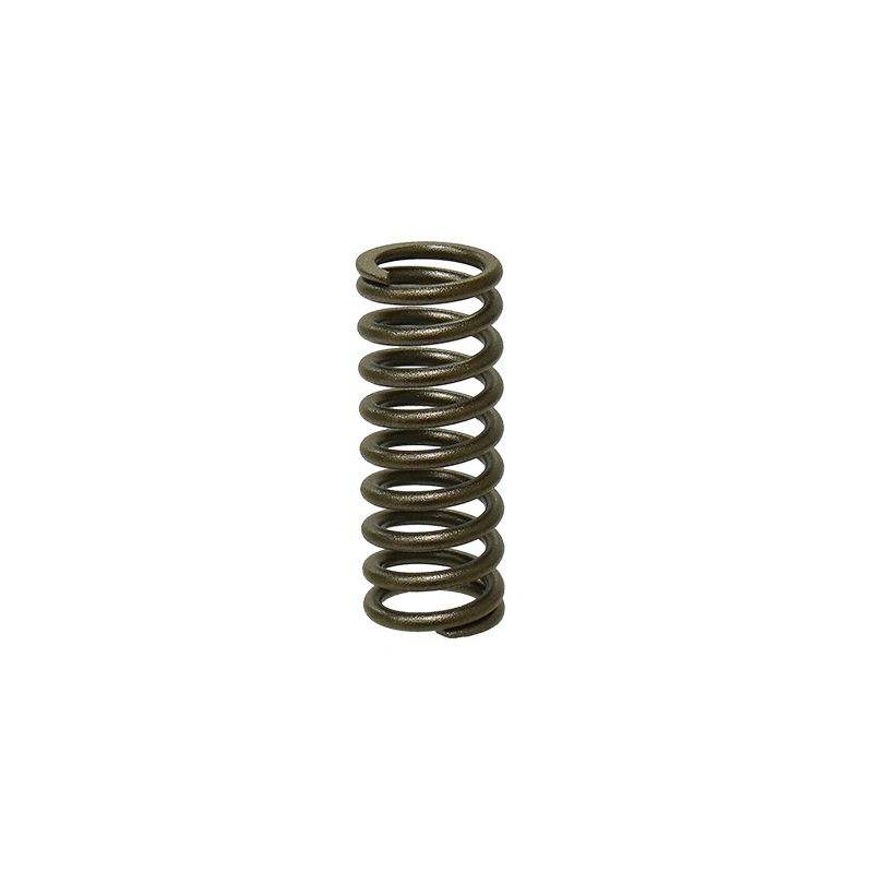 PSYCHIC SPRĘŻYNA ZAWORU WYDECHOWEGO KAWASAKI KXF 250 06-14 (MX-09505