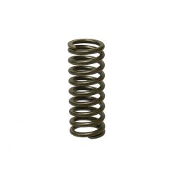 PSYCHIC SPRĘŻYNA ZAWORU WYDECHOWEGO KAWASAKI KXF 250 06-14 (MX-09505