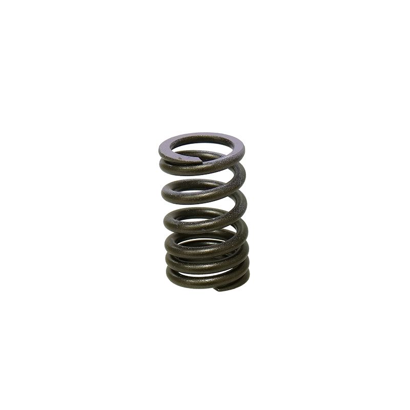 PSYCHIC SPRĘŻYNA ZAWORU SSĄCEGO KAWASAKI KXF 250 07-08 (MX-09552IS)