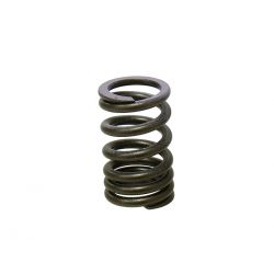 PSYCHIC SPRĘŻYNA ZAWORU SSĄCEGO KAWASAKI KXF 250 07-08 (MX-09552IS)