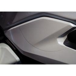 TANK PAD RG RACING RE...