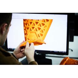 RICHA PROTEKTOR BARKÓWI D3O LP2  [LEVEL 2] (2szt) OS