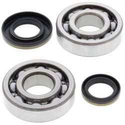 ALL BALLS ŁOŻYSKA WAŁU KORBOWEGO Z USZCZELNIACZAMI SUZUKI RM 250 '03-'04, KOYO